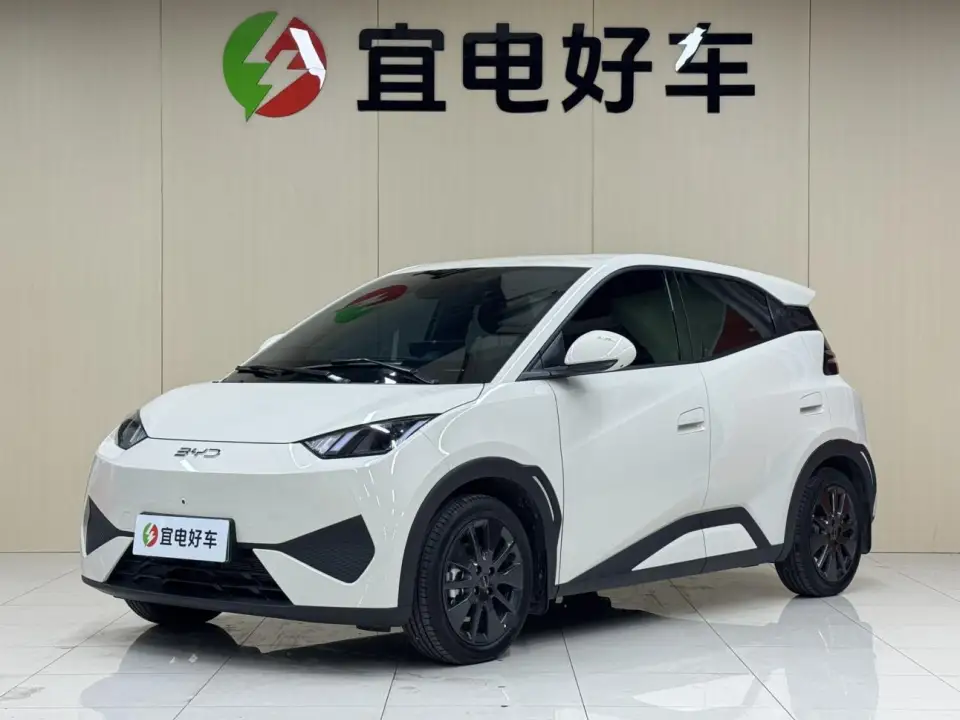 BYD Seagull
