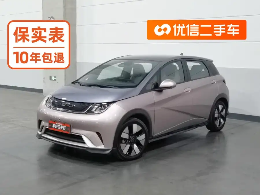 BYD Dolphin