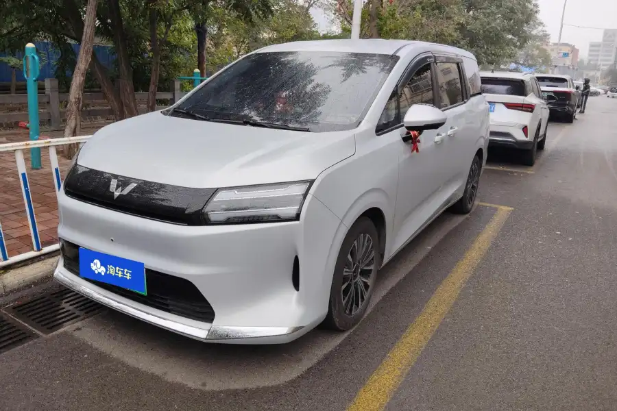 Wuling Starlight 730 EV 500km Luxury