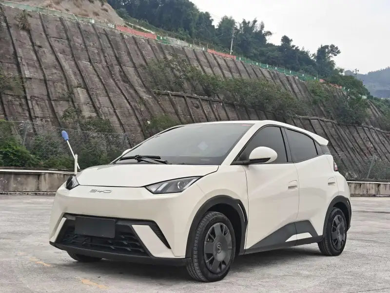 BYD Seagull 305KM