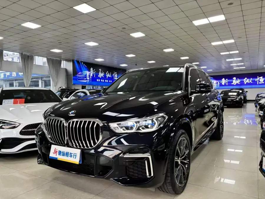 BMW X5 xDrive 30Li M