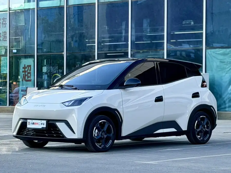 BYD Seagull