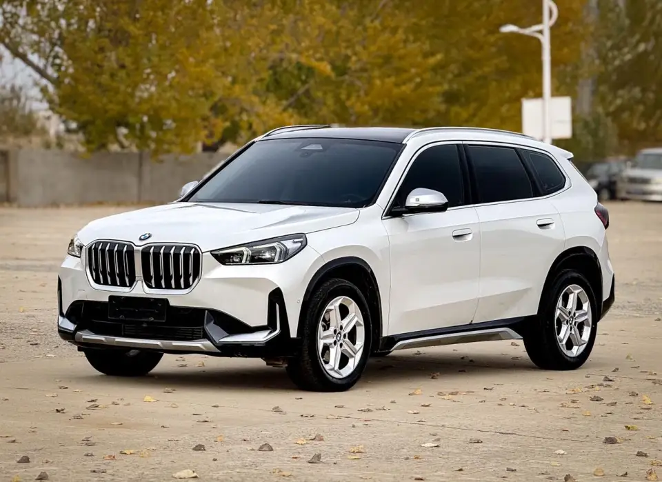 BMW X1 sDrive20Li X