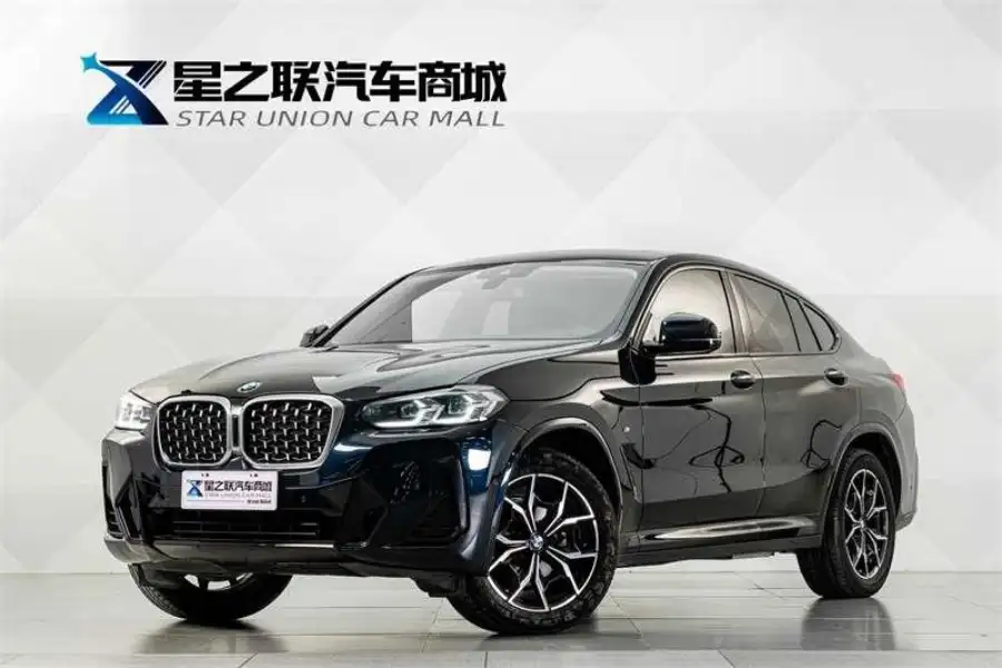 BMW X4 xDrive 25i M