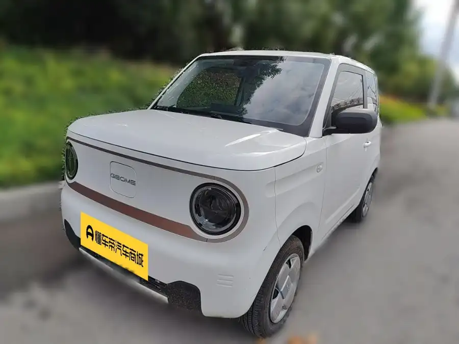 Geely Galaxy Panda 200km mini
