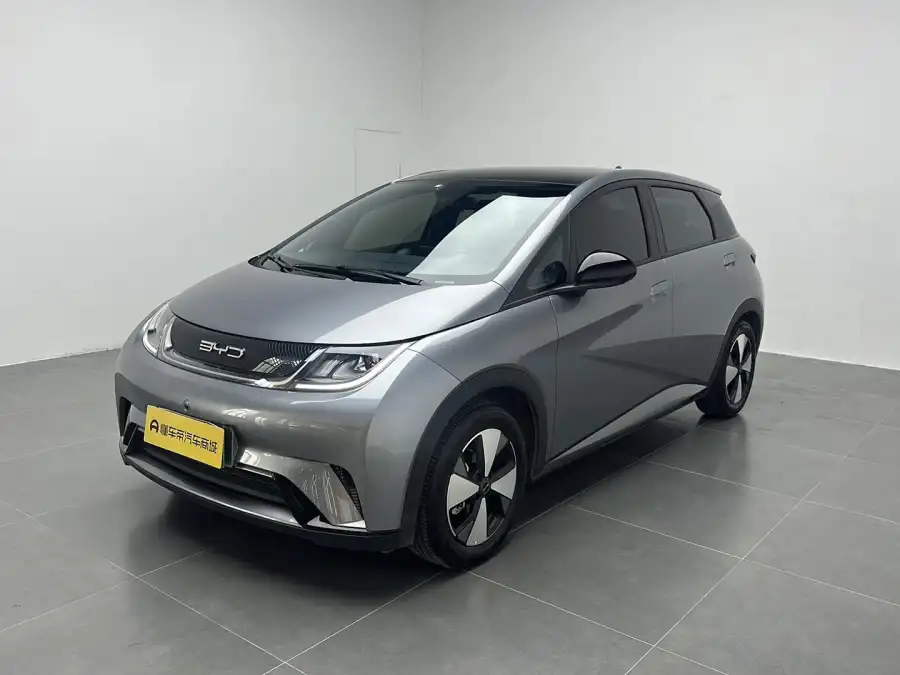 BYD Dolphin Style