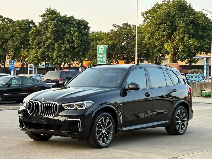 BMW X5 xDrive 30Li M
