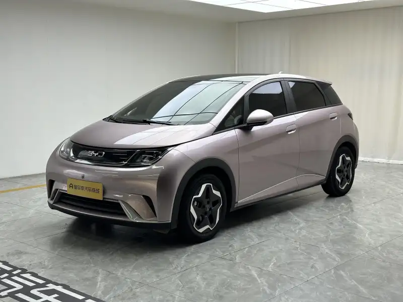 BYD Dolphin Style