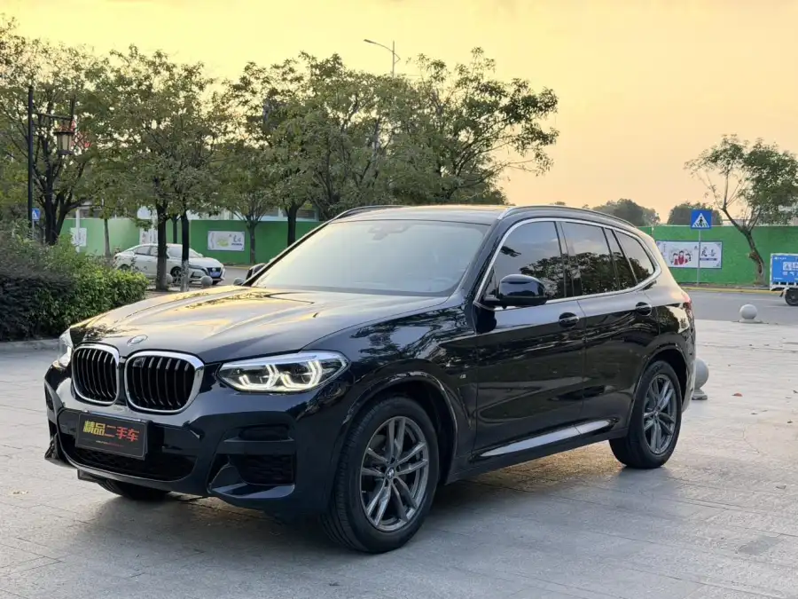 BMW X3 xDrive25i M