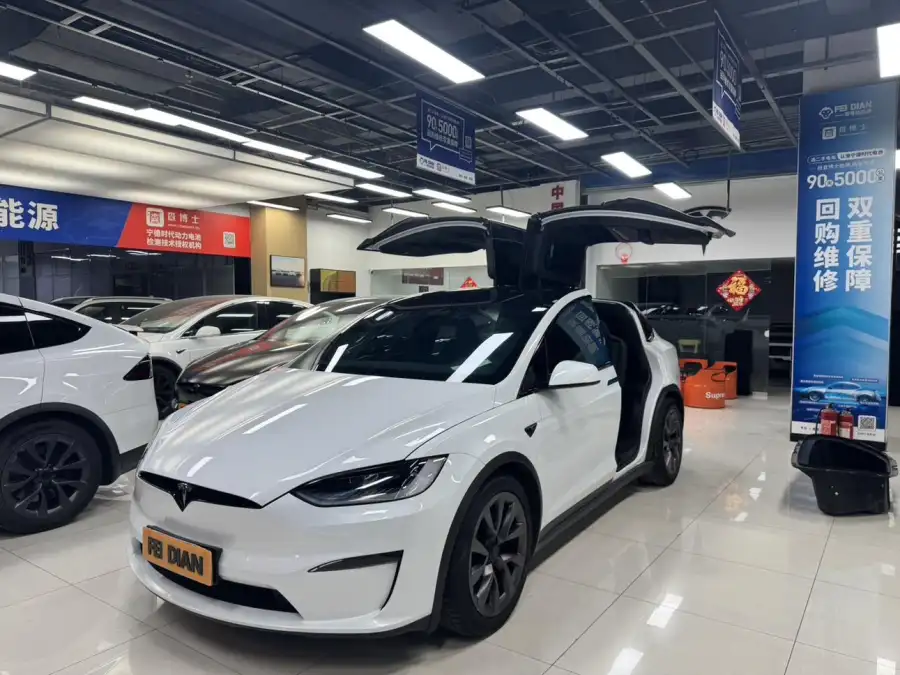 Tesla Model X Dual Motor