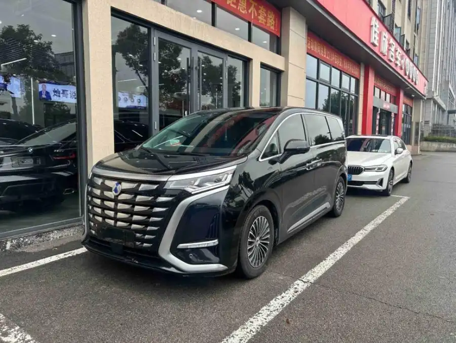 Denza D9 DM 970 Luxury