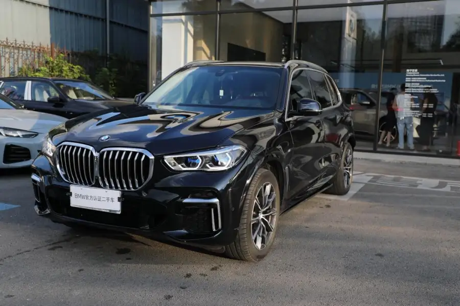 BMW X5 xDrive 30Li M