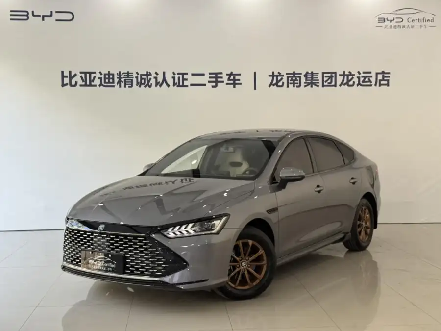 BYD Qin PLUS DM DM-i 55KM Lead