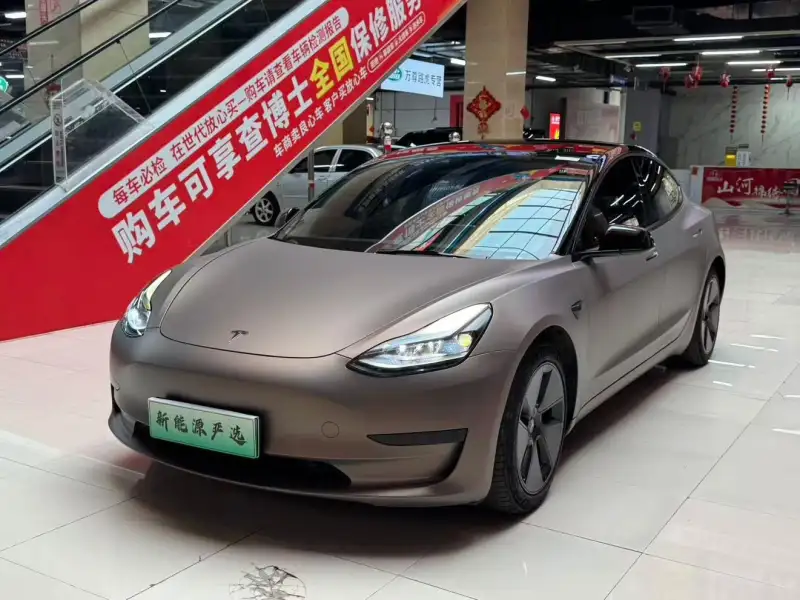 Tesla Model 3 RWD 3D6