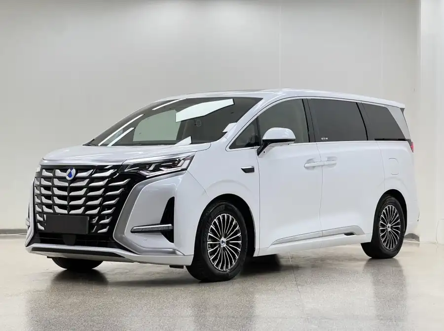 Denza D9 DM 1100 Luxury