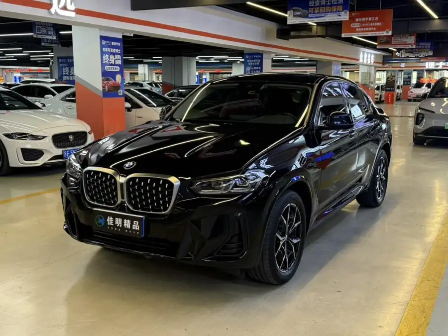 BMW X4 xDrive 25i M