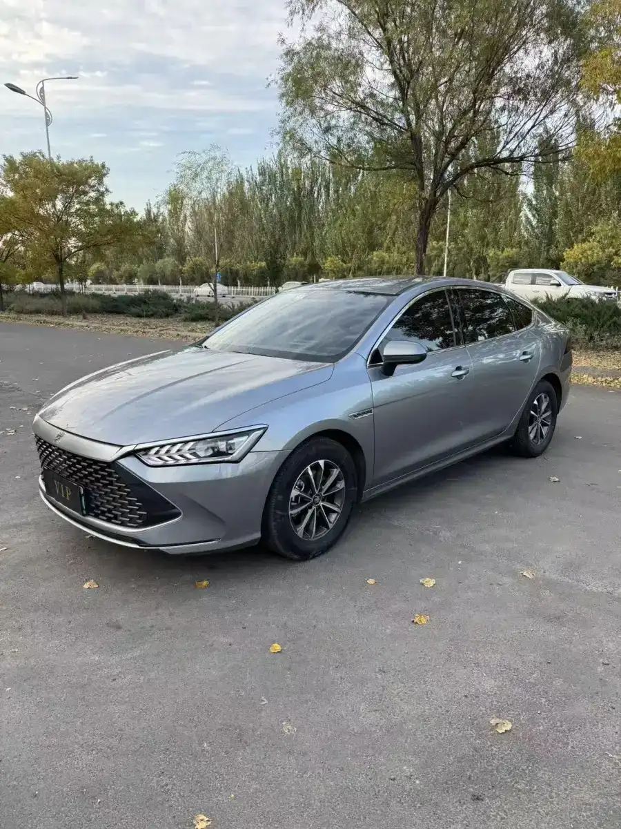 BYD Qin PLUS DM DM-i 55KM