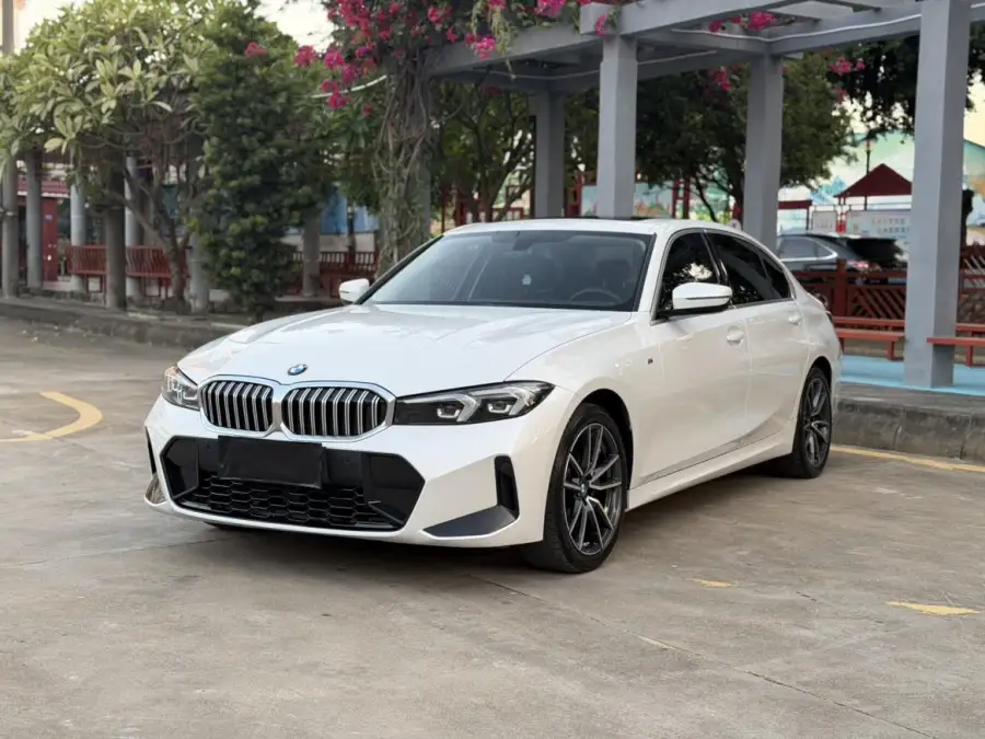 BMW 3 Series 320Li M