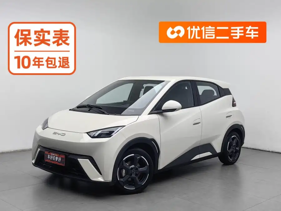 BYD Seagull
