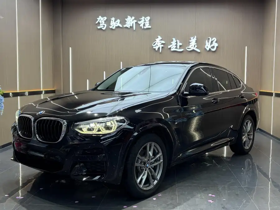 BMW X4 xDrive25i M