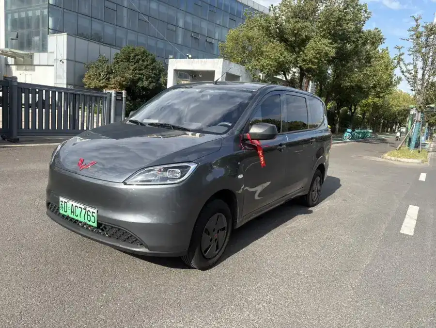 Wuling Hongguang EV 300KM Standard