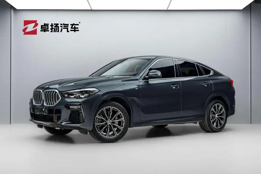 BMW X6 xDrive30i M