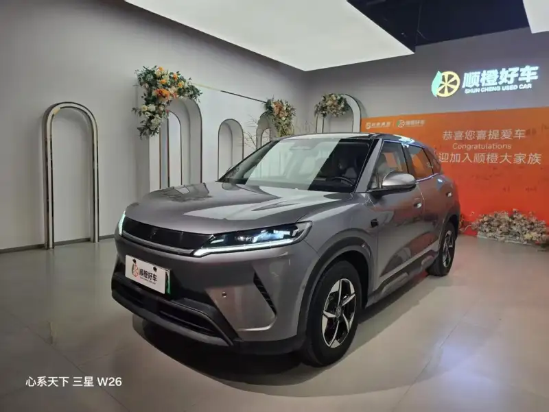 BYD Yuan UP 401KM Lead