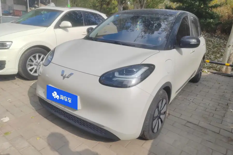 Wuling Bingo 333KM +