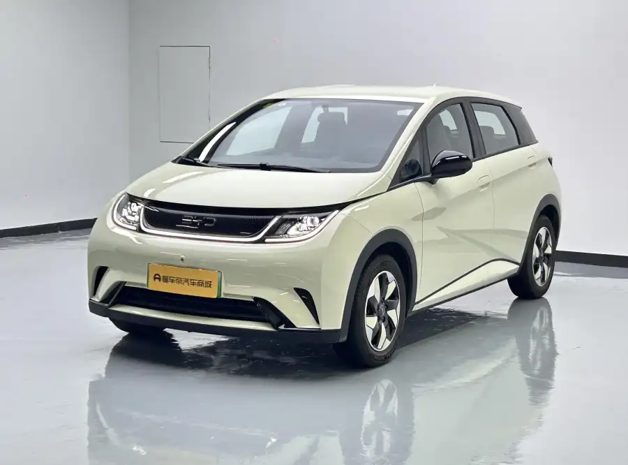 BYD Dolphin 420KM