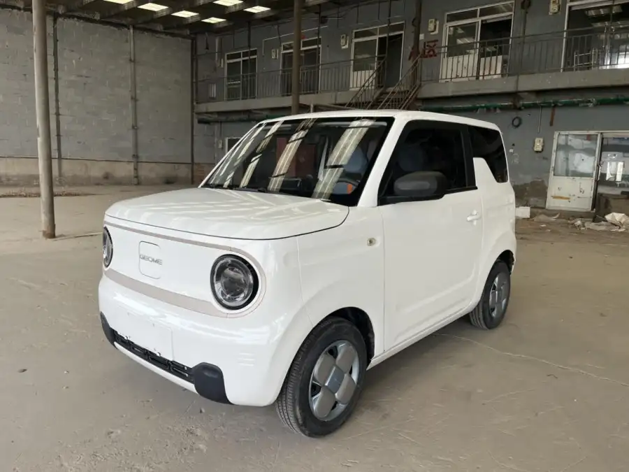 Geely Galaxy Panda 200km mini