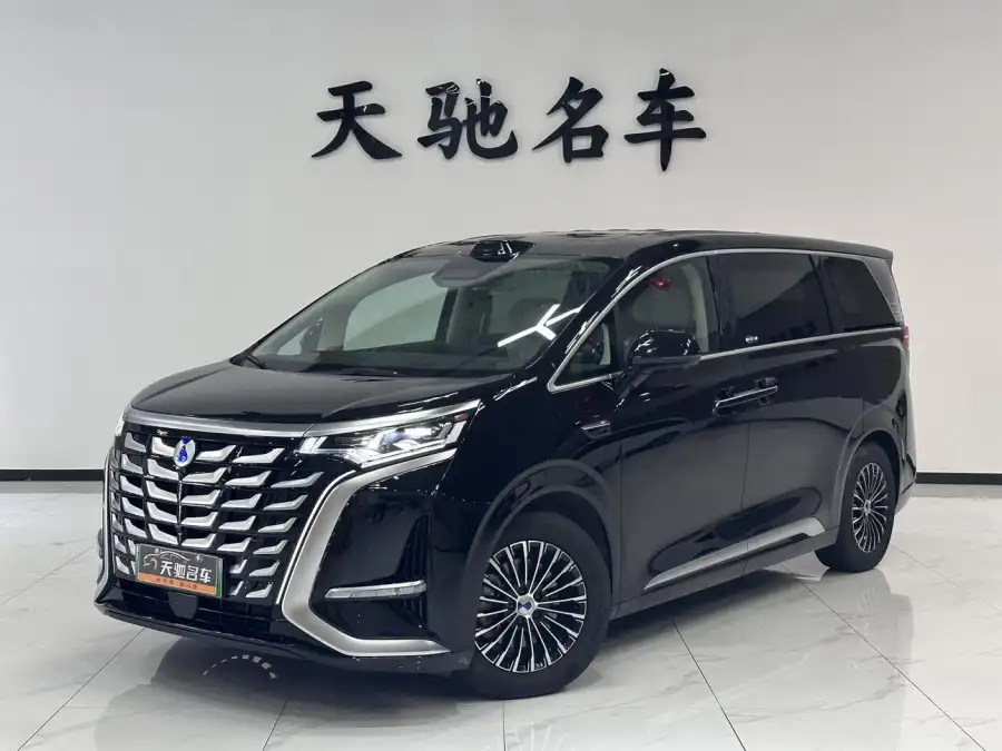 Denza D9 DM 1020 4WD Flagship