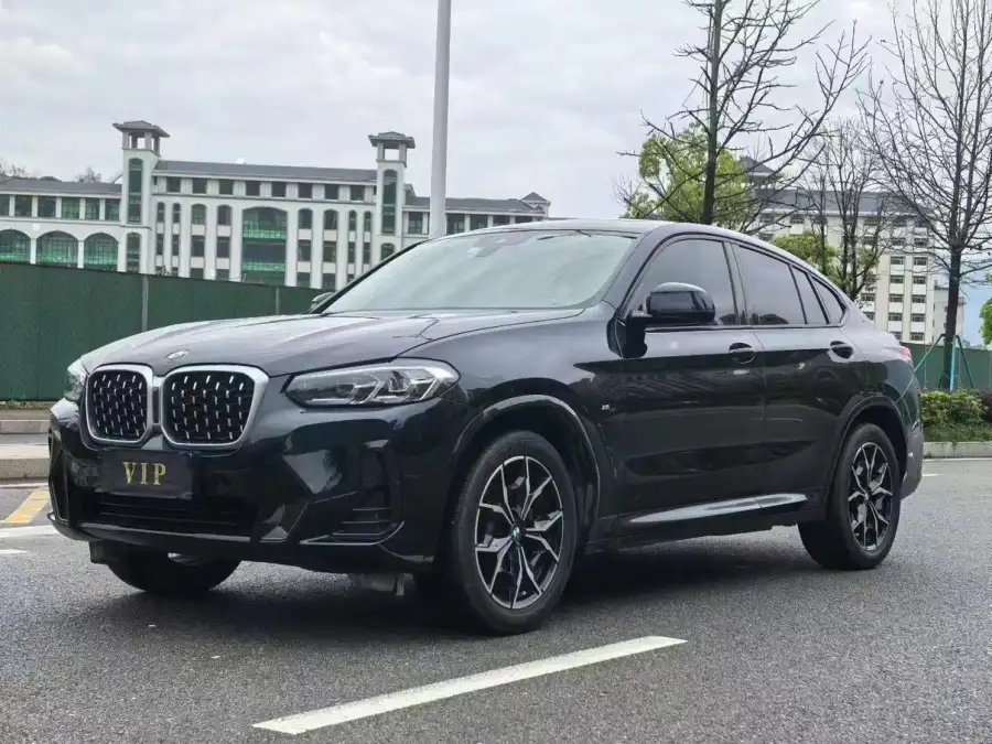BMW X4 xDrive 25i M