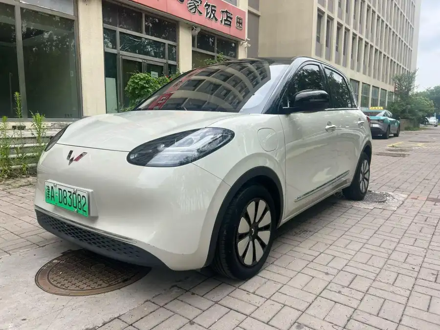 Wuling Bingo 333KM