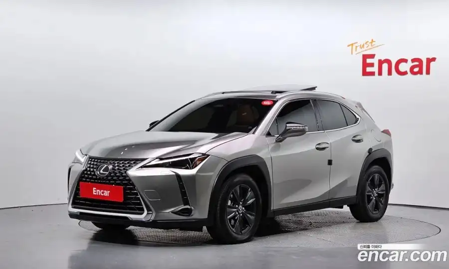 Lexus UX 2.0 2WD