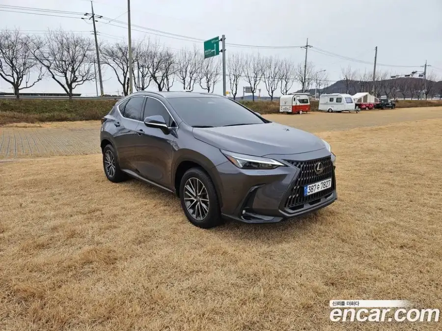 Lexus NX Premium