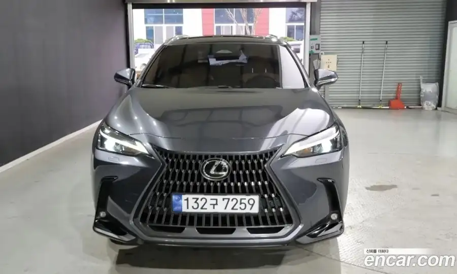 Lexus NX Premium