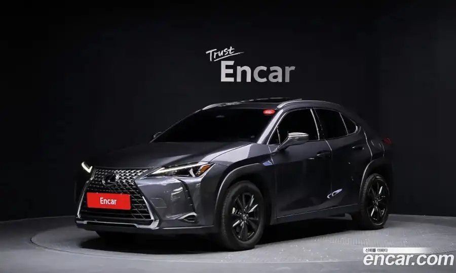 Lexus UX 2.0 2WD
