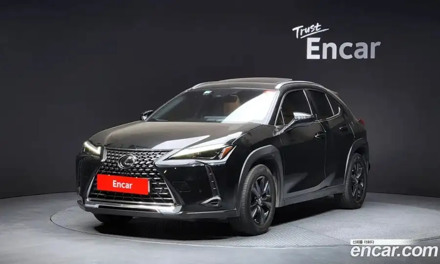 Lexus UX 2.0 2WD