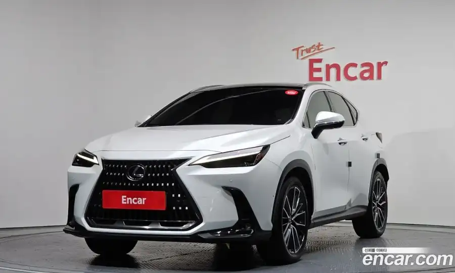 Lexus NX Luxury