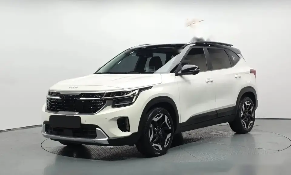 Kia Seltos 2.0 Signature