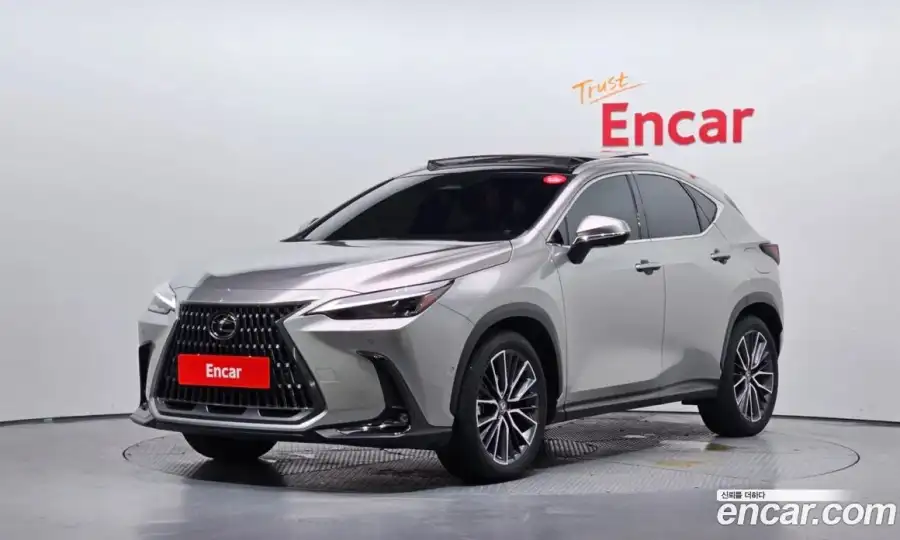 Lexus NX Luxury