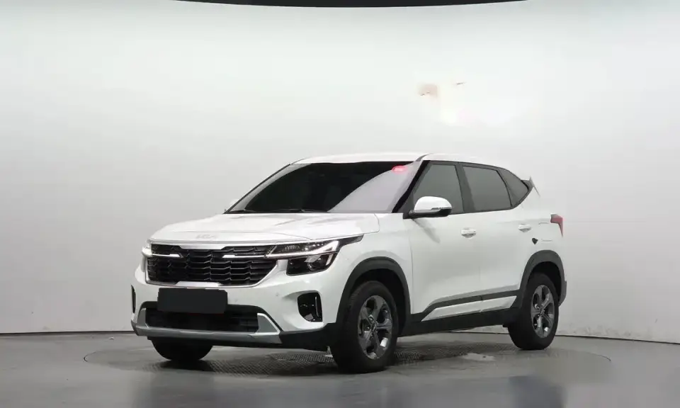 Kia Seltos 2.0 Trendy