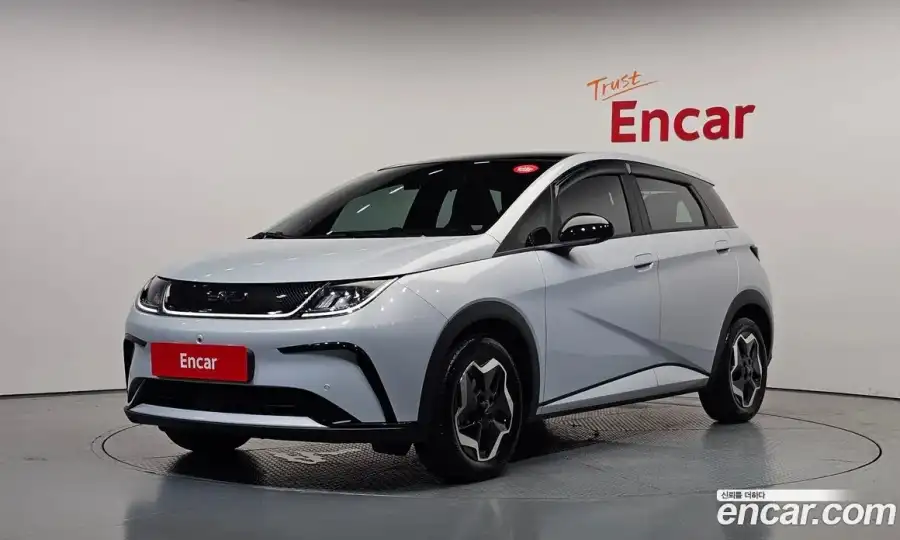 BYD Dolphin Base