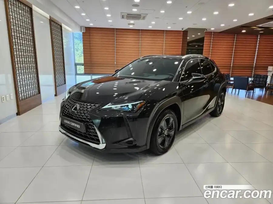 Lexus UX 2.0 2WD