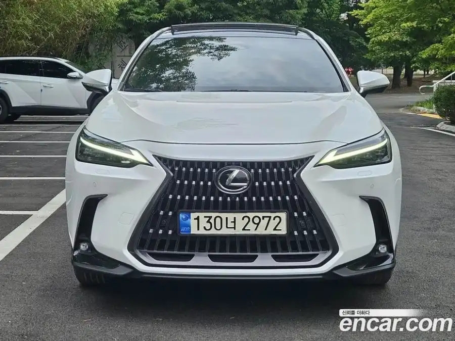 Lexus NX Luxury