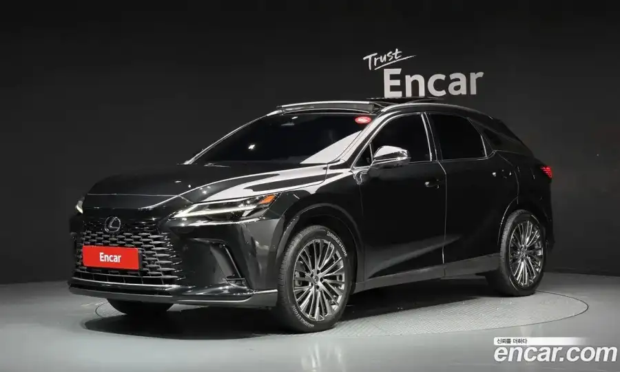 Lexus RX Luxury