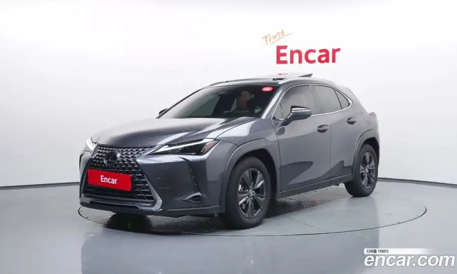 Lexus UX 2.0 2WD