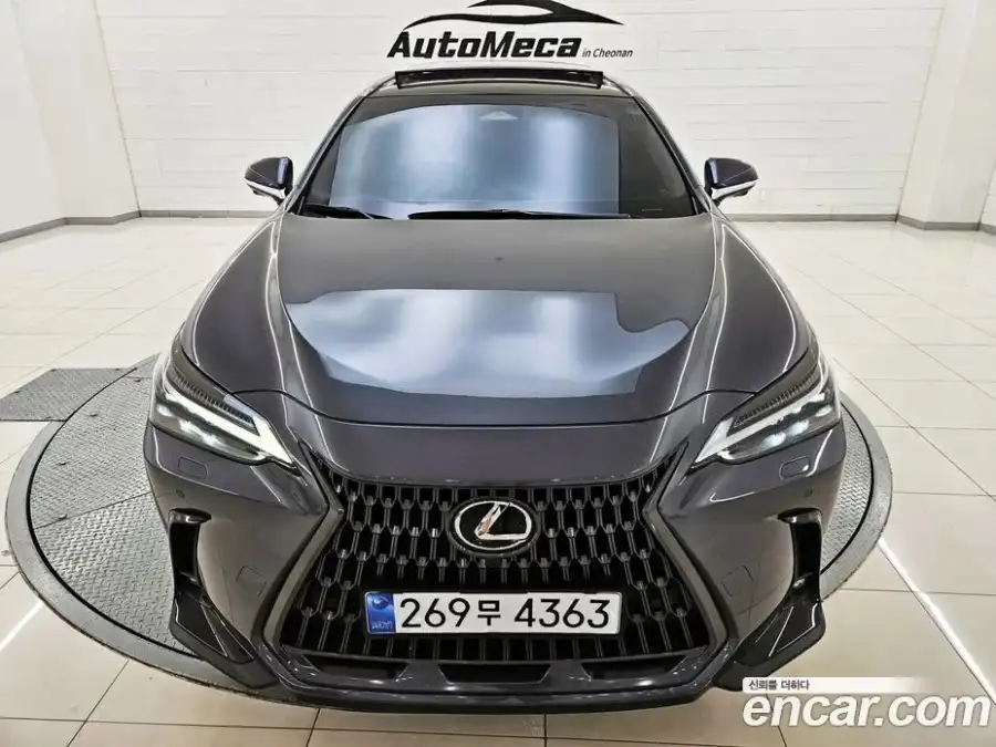 Lexus NX Luxury