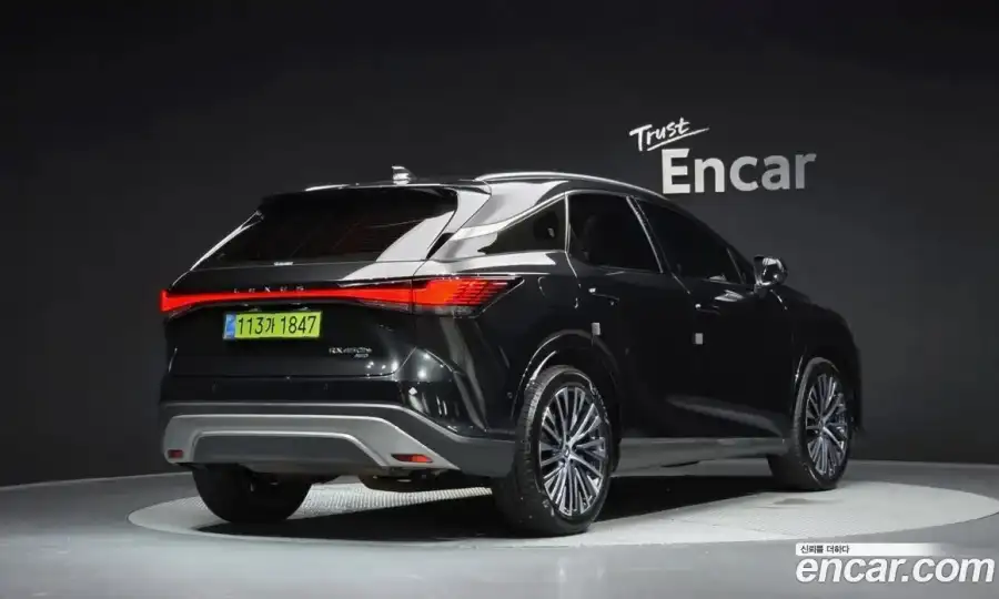 Lexus RX Luxury