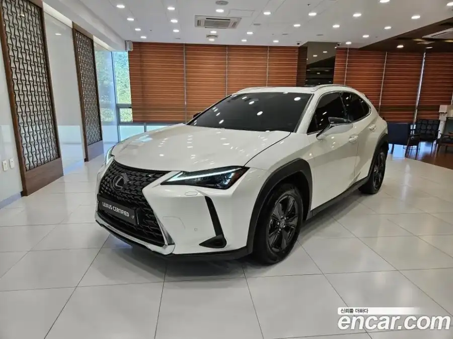 Lexus UX 2.0 2WD